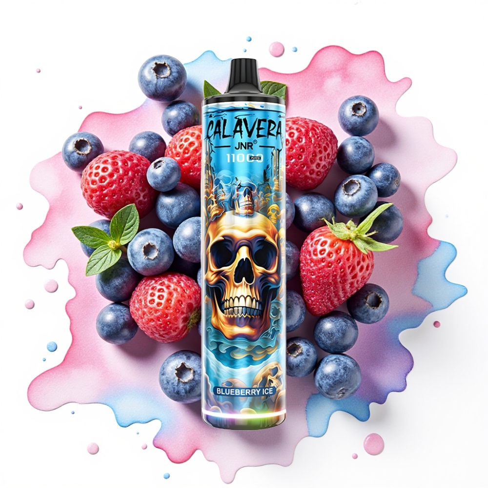 JNR Calavera 11000 Puffs Engangsvaper Blåbæris Type-C 850mAh 21ml