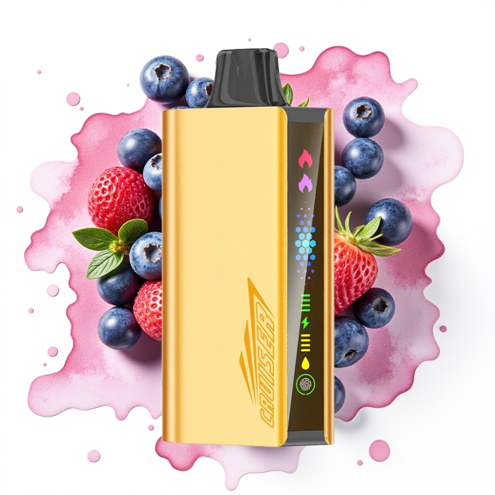 JNR Cruiser 12000 Puffs Ladesystem Disposable Vape Blåbærsmakt – 3500 mAh, 25ml