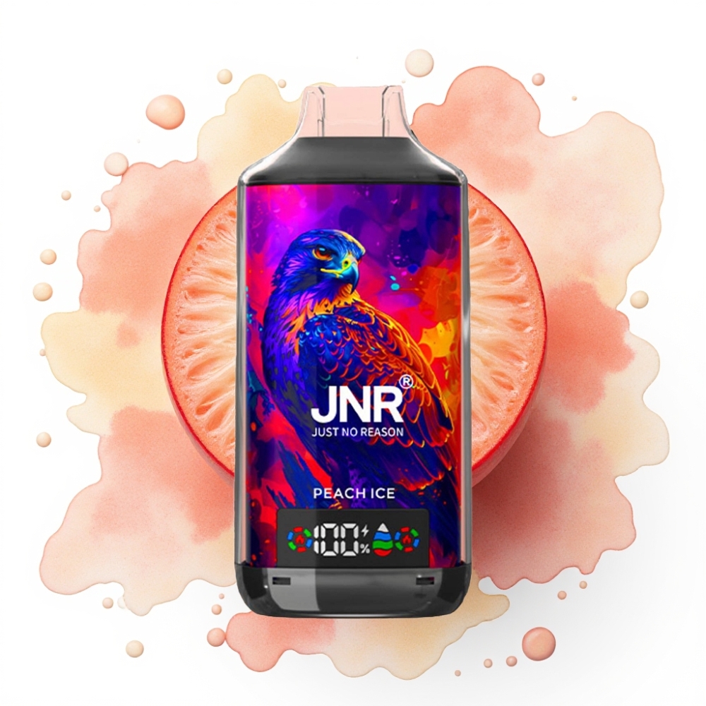 JNR Falcon X 18000 Puffs Fersken Is 24ml 750mAh