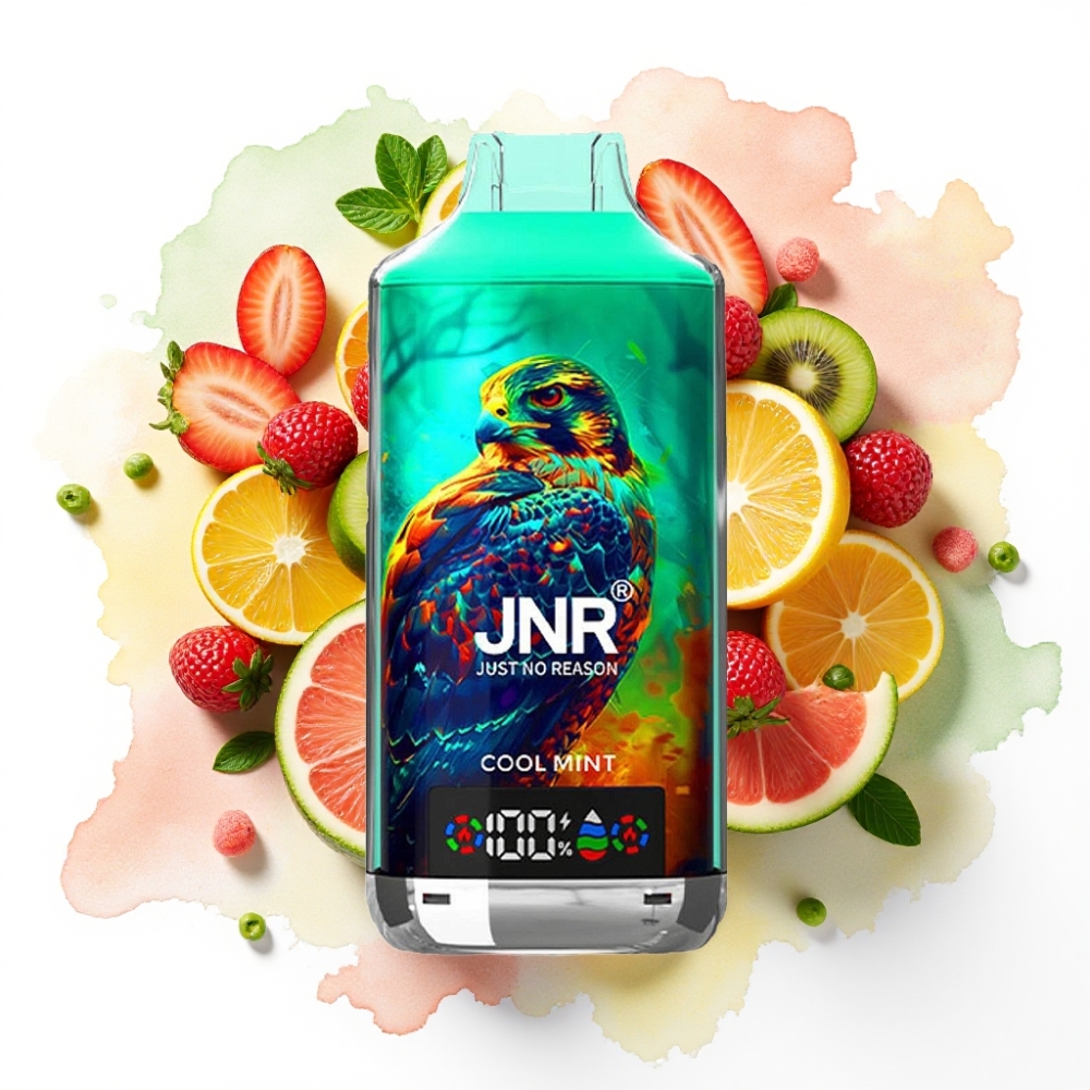 JNR Falcon X 18000 Puffs Kjølig Mynte – 24ml, 750mAh, Type-C