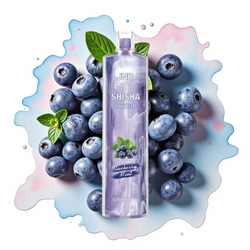 JNR Shisha Hookah 12000 Puffs Blåbær Mynte – 24ml, 750mAh, Type-C