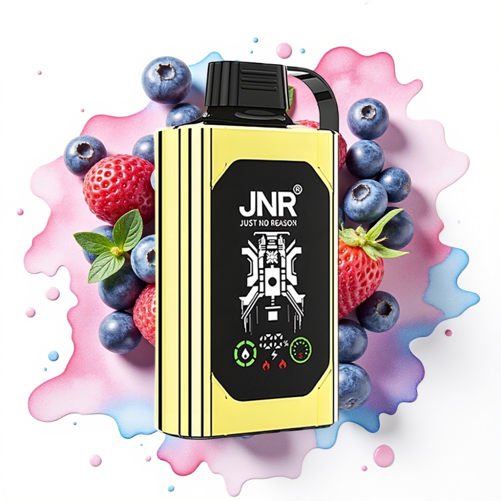 JNR Shisha Hookah Box 20500 Puffs Blåbær Is – 25ml, 1000mAh, Type-C