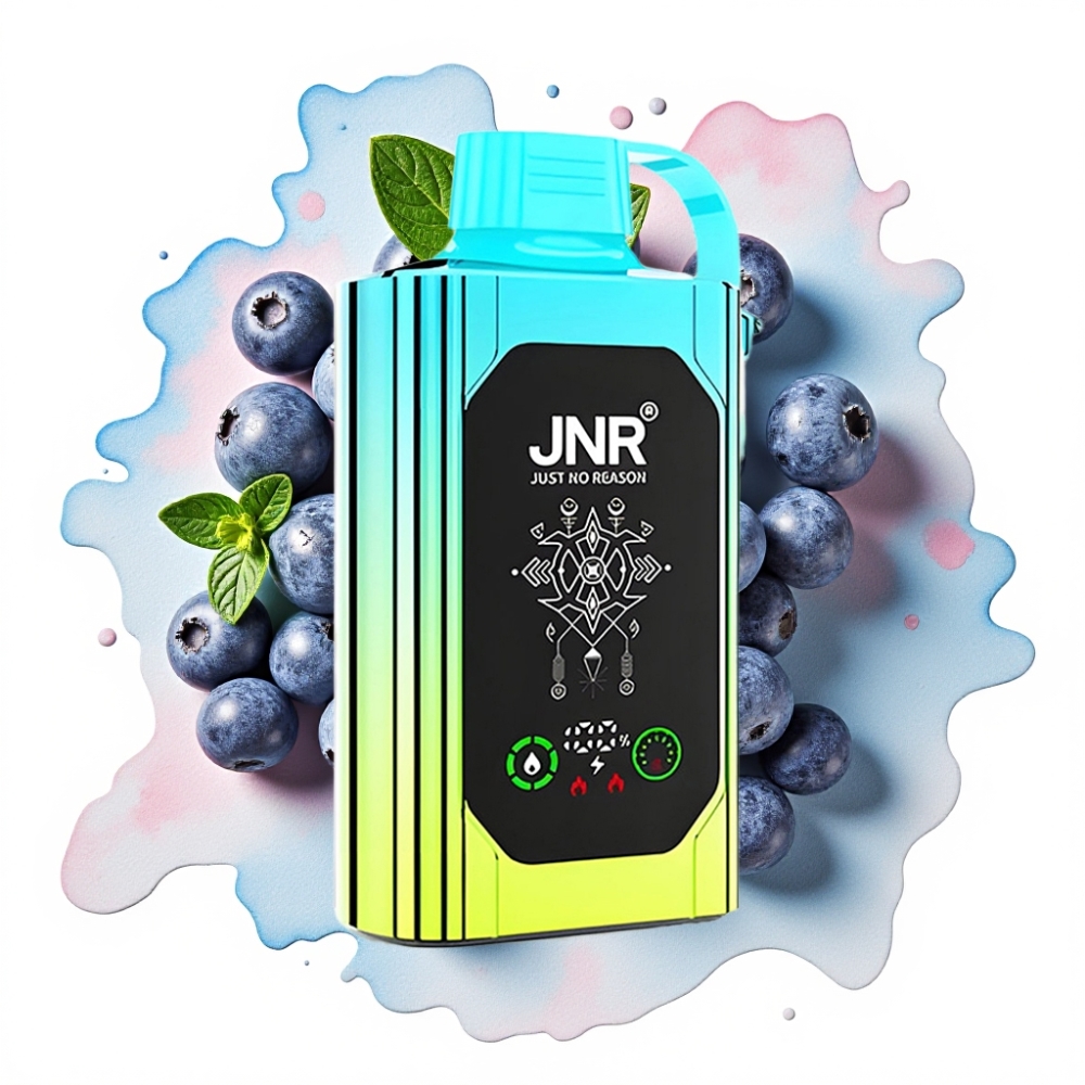 JNR Shisha Hookah Box 20500 Puffs Blåbær Mynte – 25ml, 1000mAh, Type-C